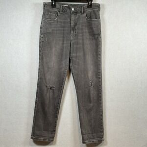 Anthropologie Pilcro The Borrowed Boyfriend Jeans Sz 28 Gray Distressed
